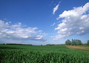 越谷市における信頼の葬儀サービス：ティア越谷のご案内