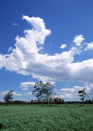 家族葬の人気が高まっている理由について