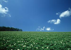 静岡市駿河区の家族葬・少人数葬儀に最適な斎場【富士葬祭 中村町】の詳細と特徴