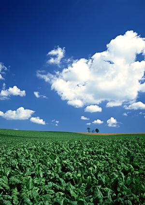 川越の葬儀社は明朗会計がモットーで安心