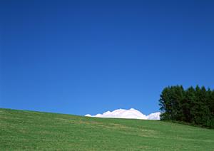 宇都宮市の信頼と実績の葬儀場 – さがみ典礼 滝の原の魅力と詳細情報