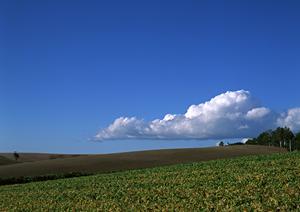 静岡県焼津市で選ばれる家族葬専門斎場【家族葬のタクセル東小川】の特徴と最新情報