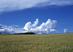浜松市浜名区にある家族葬に最適な葬儀場「富士葬祭 浜北沼」のご紹介