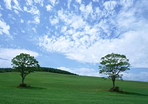 浜松市中央区の家族葬・一般葬に対応！富士葬祭 三方原の安心できる葬儀サービスと最新施設紹介