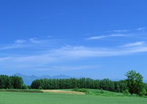 東京にある格安で利用できる納骨堂