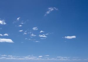 安心して利用できる葬儀社について