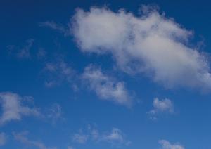 神奈川で選ぶ理想の霊園ガイド：交通の便や価格、バリアフリー施設を徹底比較！