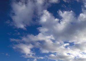 本格的な供養が行われているので安心