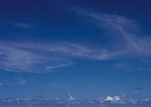 まずはサガソーギで検索してみませんか