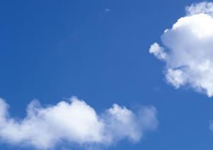 札幌にあるペット葬儀を手伝う専門企業