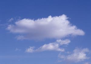 家族葬で葬儀を執り行なうのなら