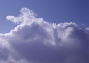 親しい人に限る家族葬という葬儀の形