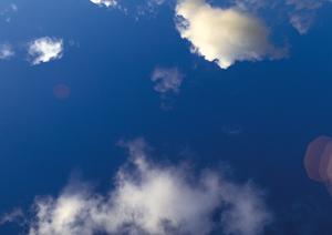 【2025年最新版】東京で選ぶ浄土真宗の墓所ガイド：安心の供養とアクセスの良さを徹底解説