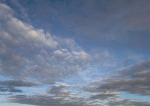 仙台で選ぶ！安心・安全な墓石の選び方と地域特有のサービスガイド