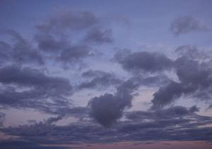 格安で散骨を行うには業者におまかせ