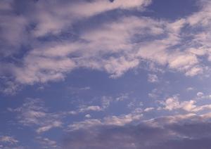 樹木葬ならば東京からも便利なお寺で