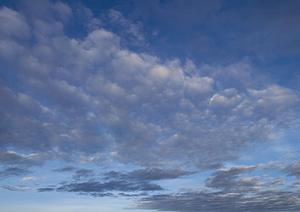 仏壇のプロだからこその仏壇引越し