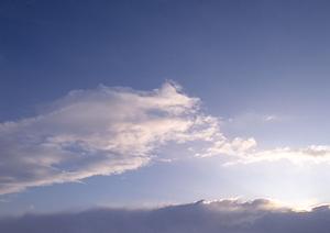 愛するペットをしっかり送り出すための大阪のペット葬式完全ガイド