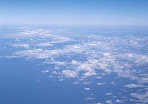 静岡県で低価格・安心の家族葬を提供する「家族葬のタクセル」：豊富な店舗と充実したサービス内容