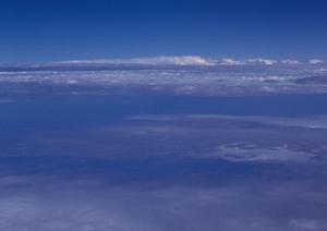 禅興寺の概要と実施している自然葬の特徴