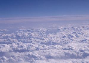 京阪ペットセレモニーの葬儀について